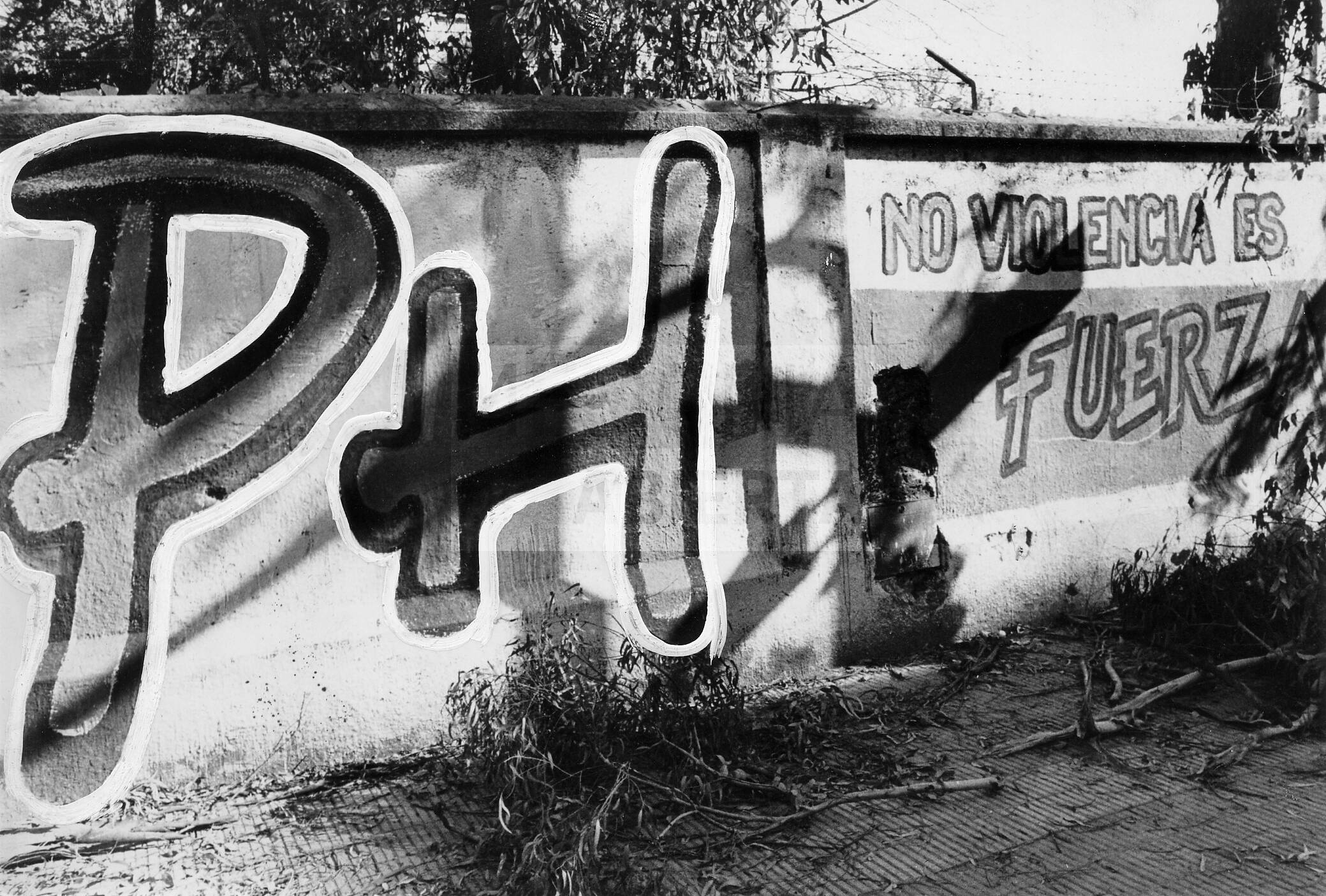imagen documento
