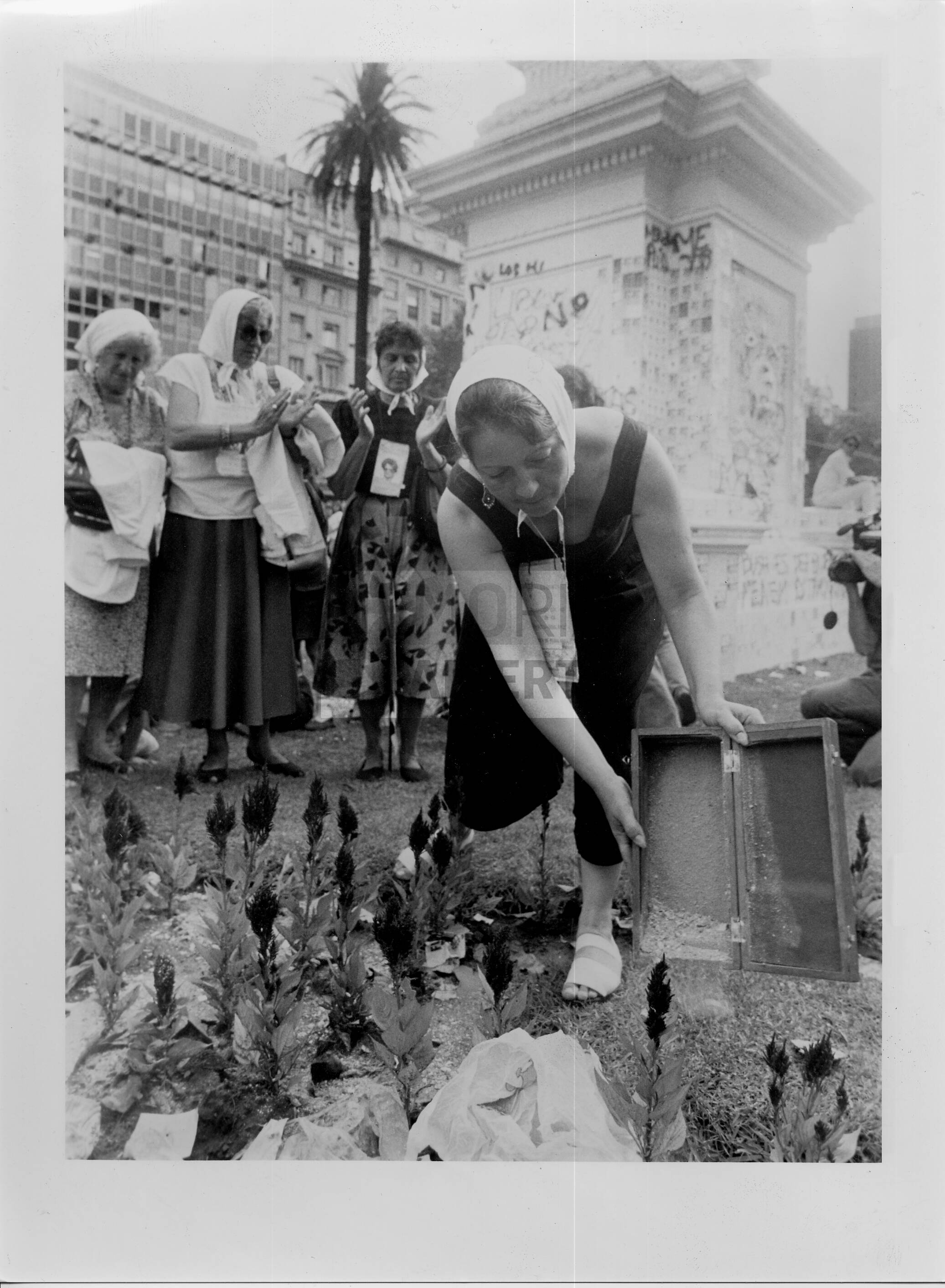 imagen documento