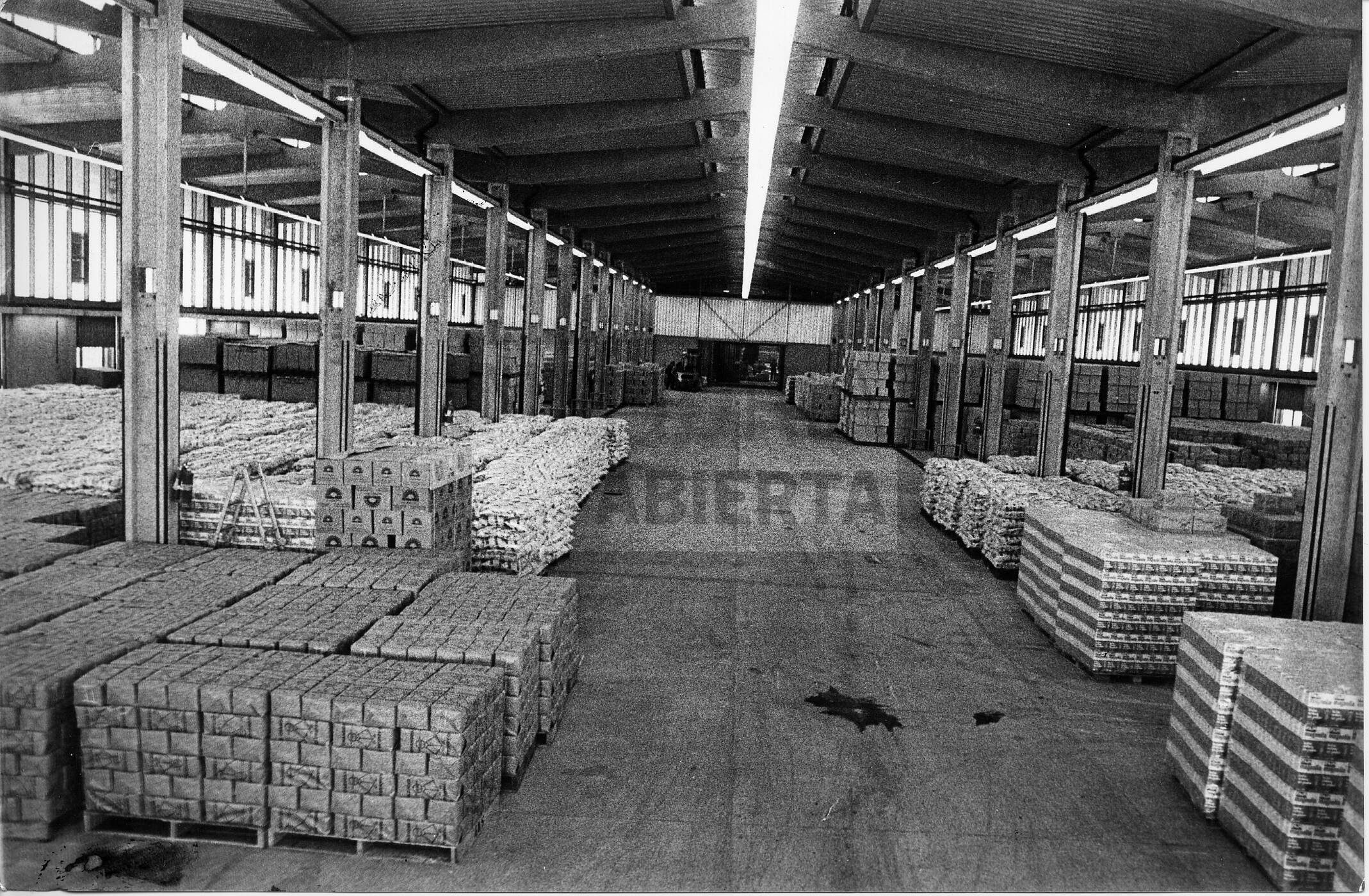imagen documento
