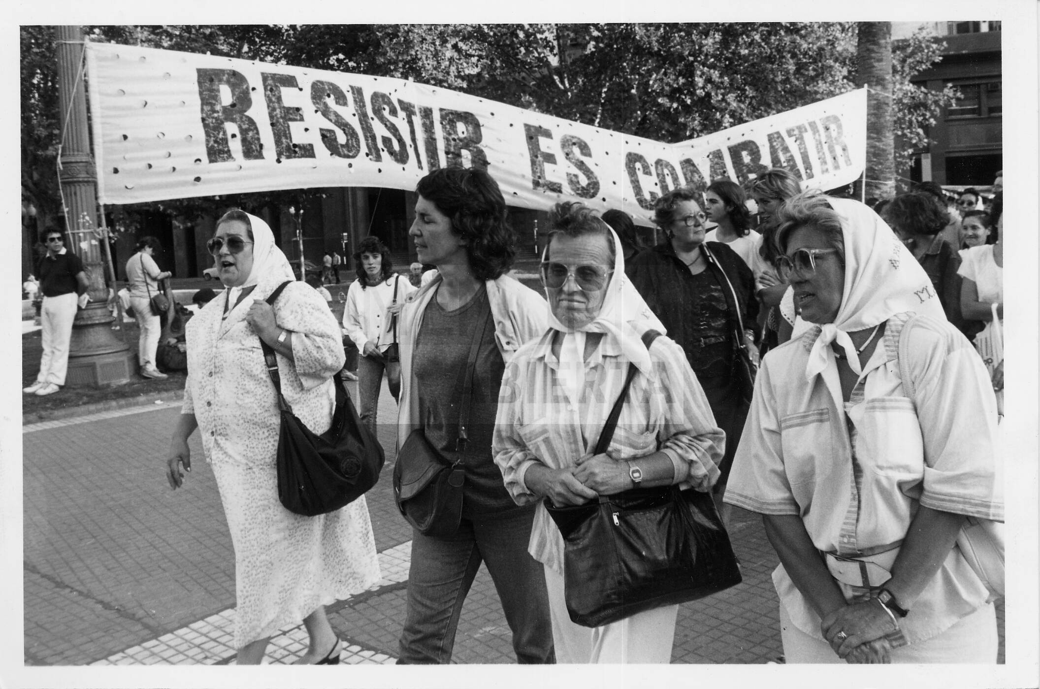 imagen documento