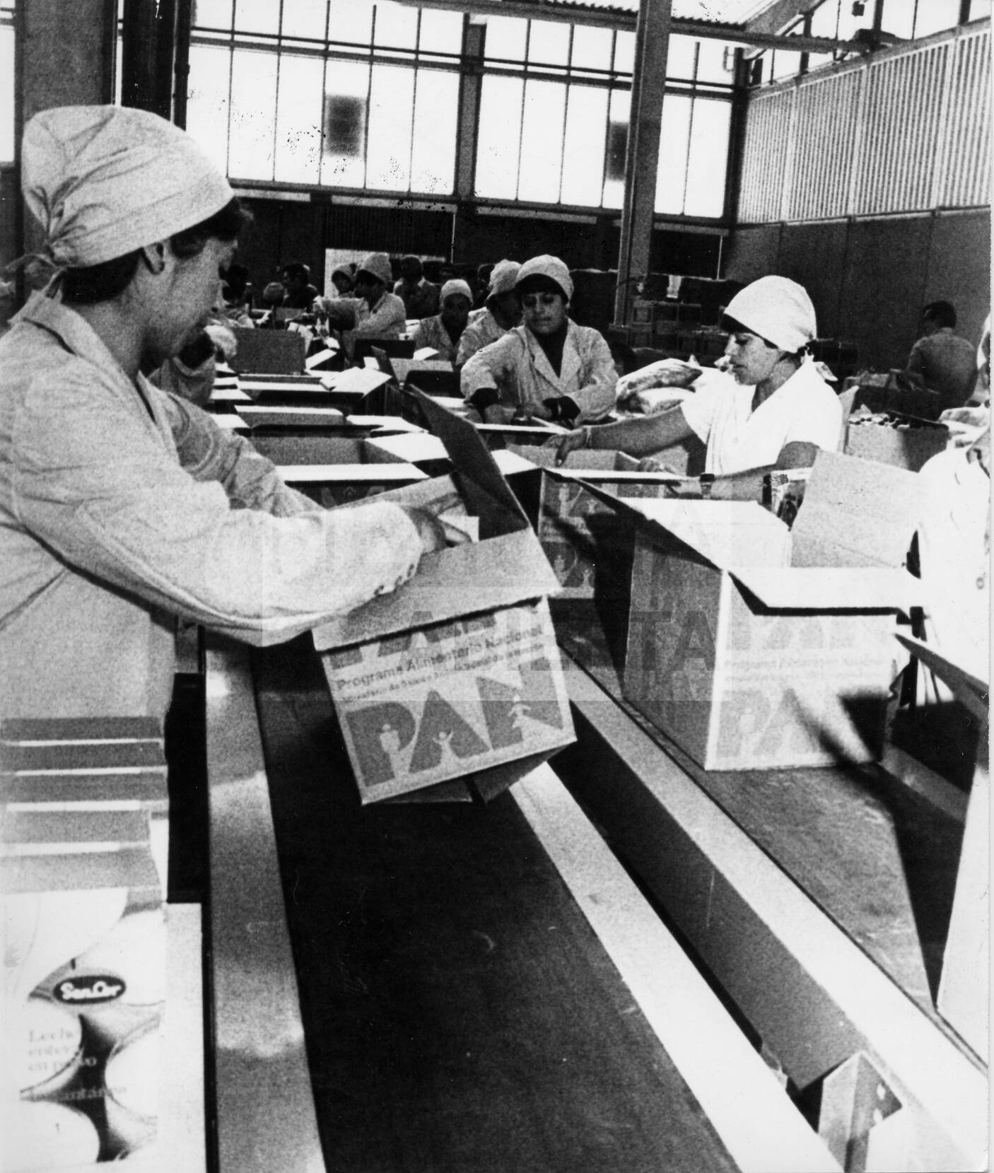 imagen documento