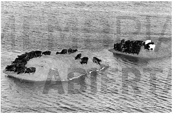 imagen documento