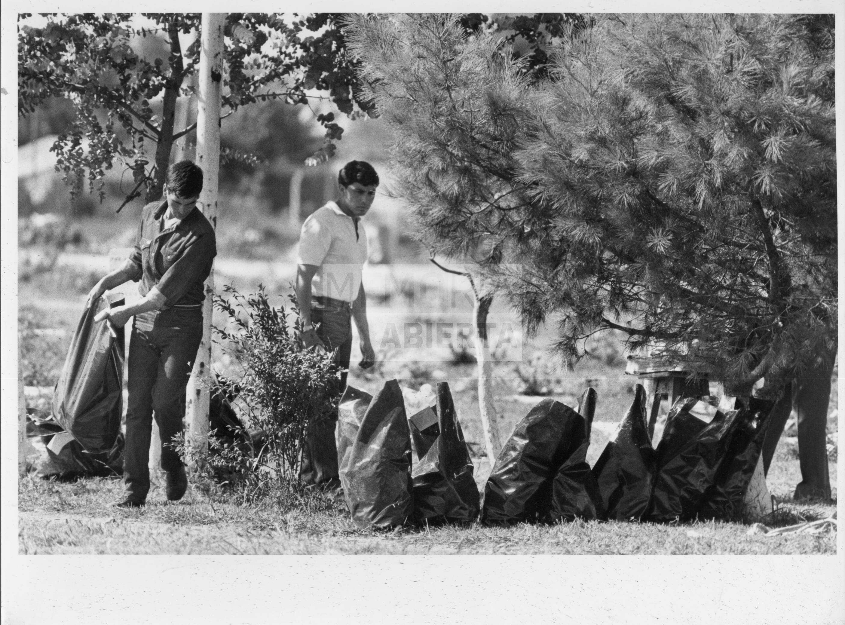 imagen documento