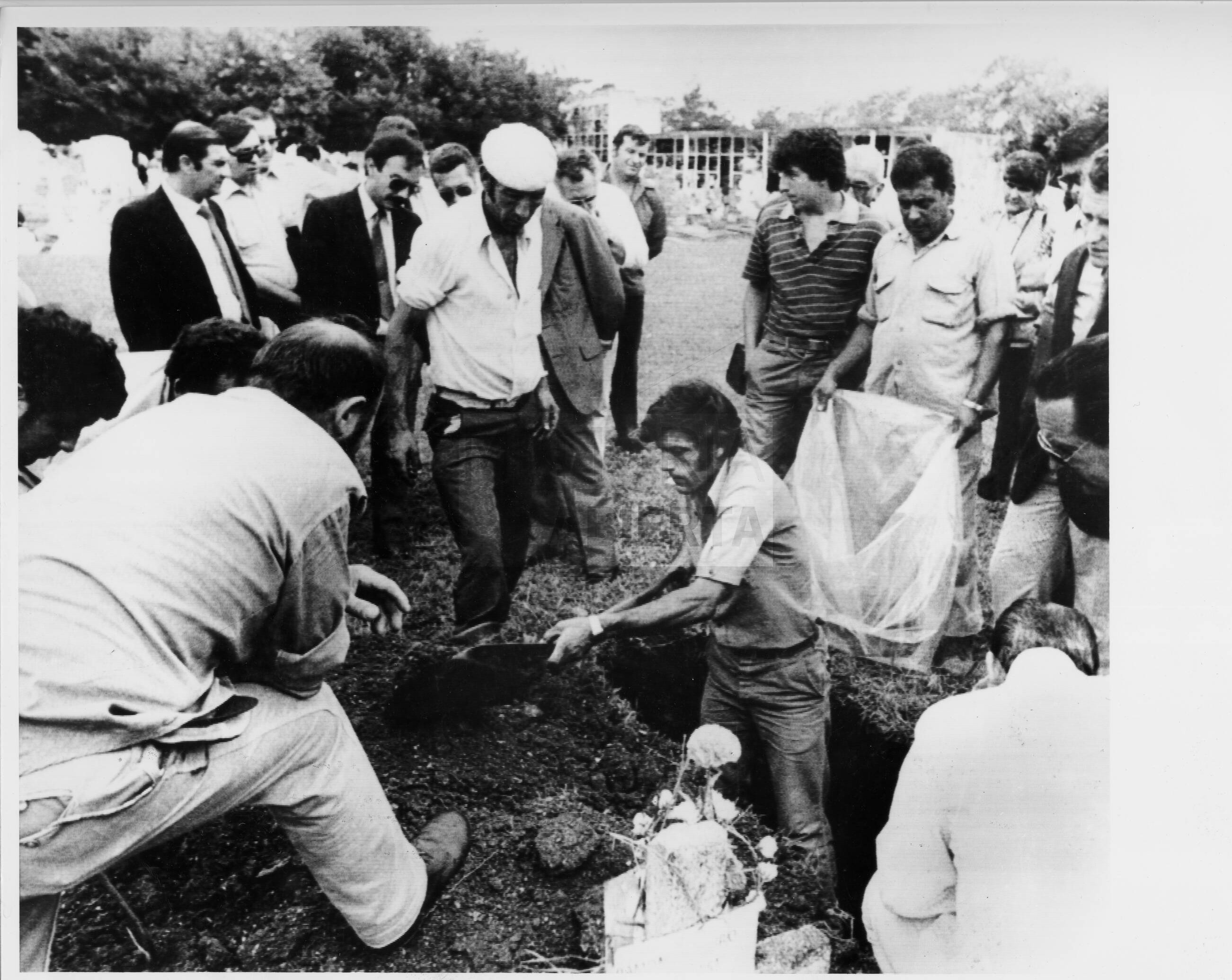 imagen documento