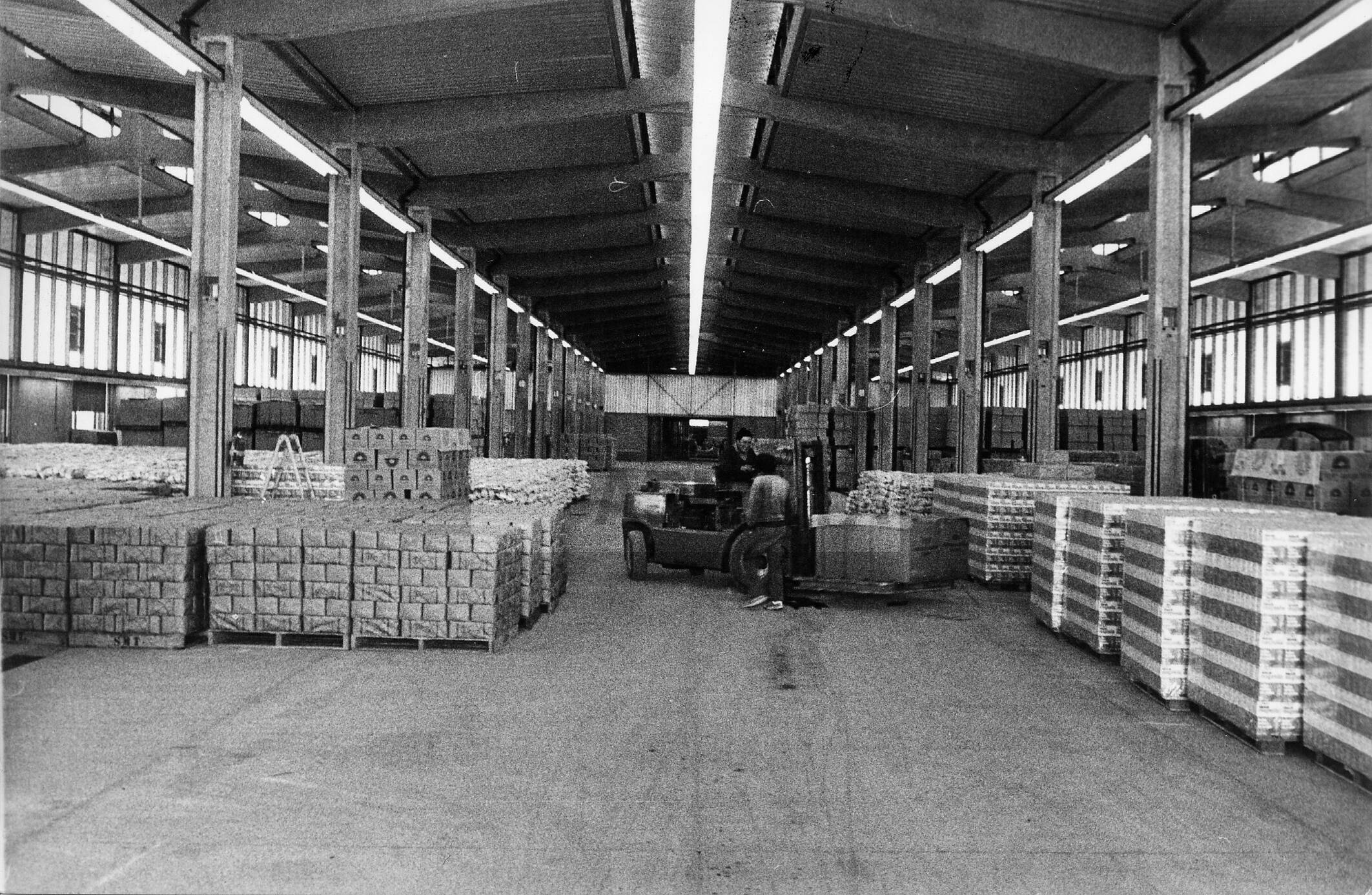 imagen documento